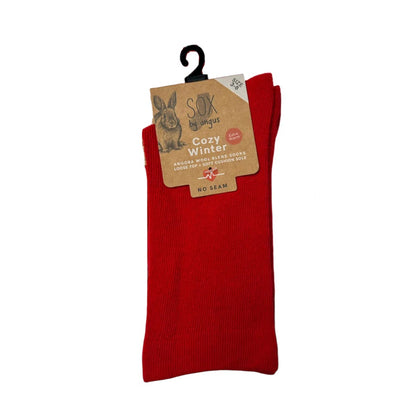 Red sock with a hanger and packaging on a white background