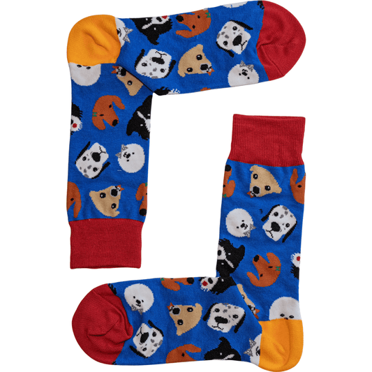 Dog Party Socks