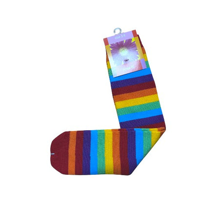Calf length Rainbow Socks 2-8